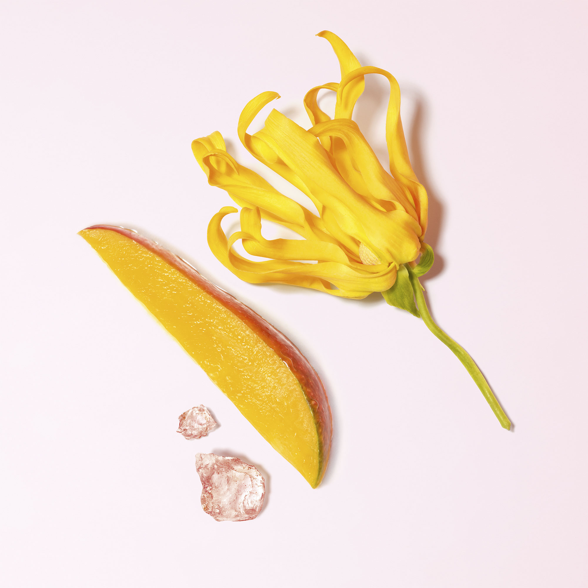 MY WAY YLANGEAU DE PARFUM